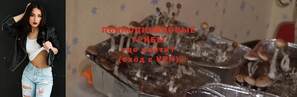 метадон Богородицк