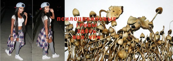 мефедрон мука Богданович