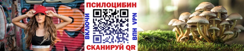 хочу   Велиж  Галлюциногенные грибы Psilocybine cubensis 